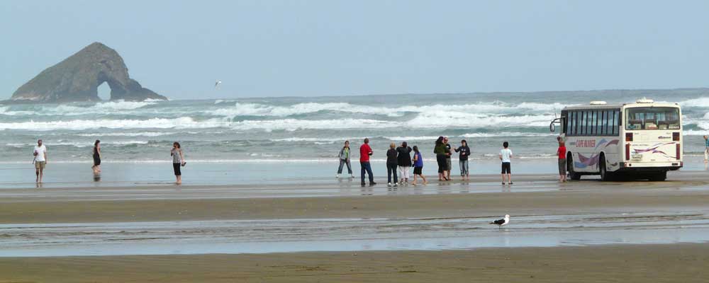 Excursion on Ninety Mile Beach